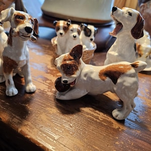 Diane さんが購入した商品の写真を追加しました