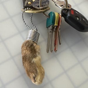 Wisteria added a photo of their purchase