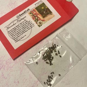 NEW! Firecracker Penstemon Seeds, Eaton's Penstemon, US Native Wildflower, PT411C