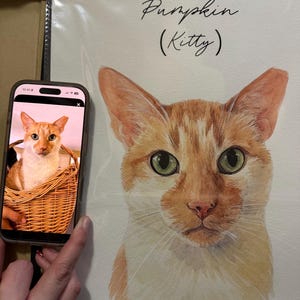 Laila ha añadido una foto de su compra