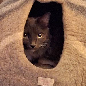 Della added a photo of their purchase