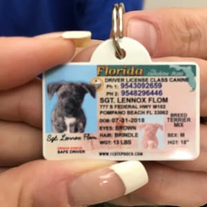 Florida Driver License Custom Pet ID Tags and Wallet Card | Etsy