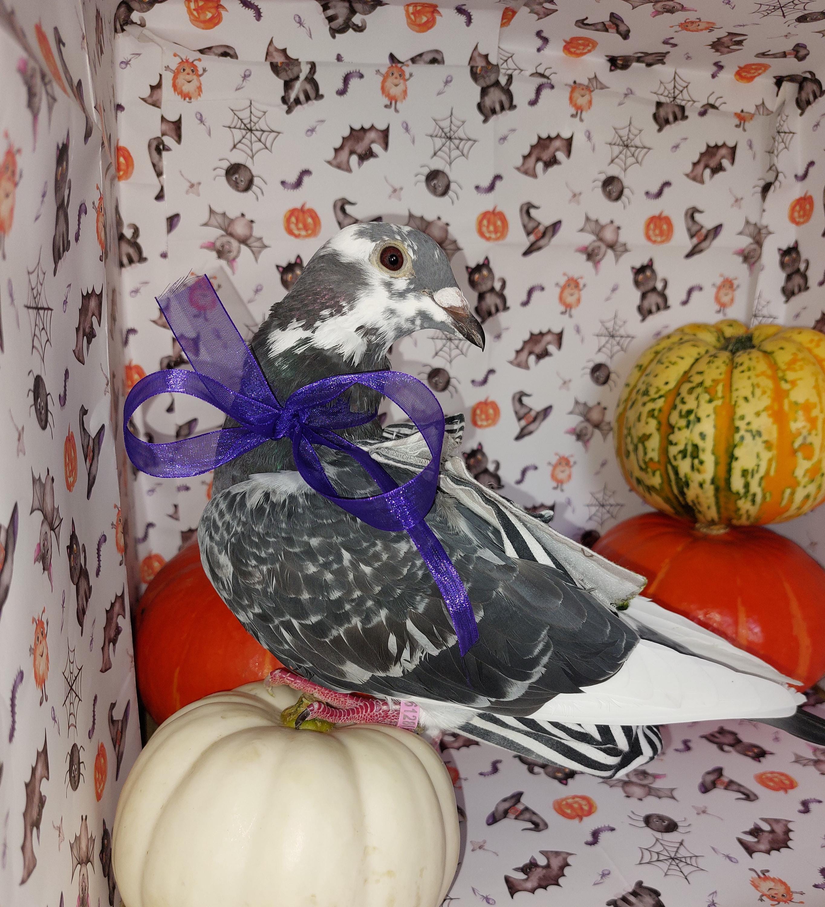 Halloween Wrapping paper,  Halloween decor and halloween decorations ideas, gift wrap, wrapping paper for, paper roll of, ghost witch goth