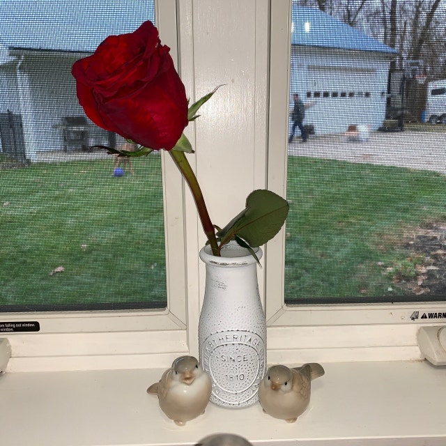 Bobbie Brocious added a photo of their purchase