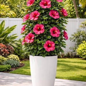 NELIE added a photo of their purchase