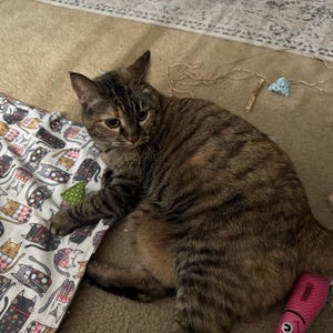Etsy buyer added a photo of their purchase