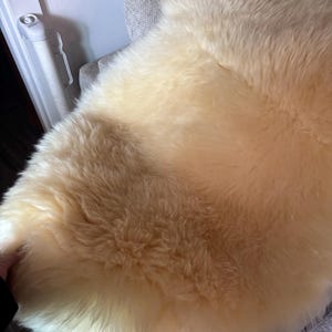 JurassicPunxVntg added a photo of their purchase