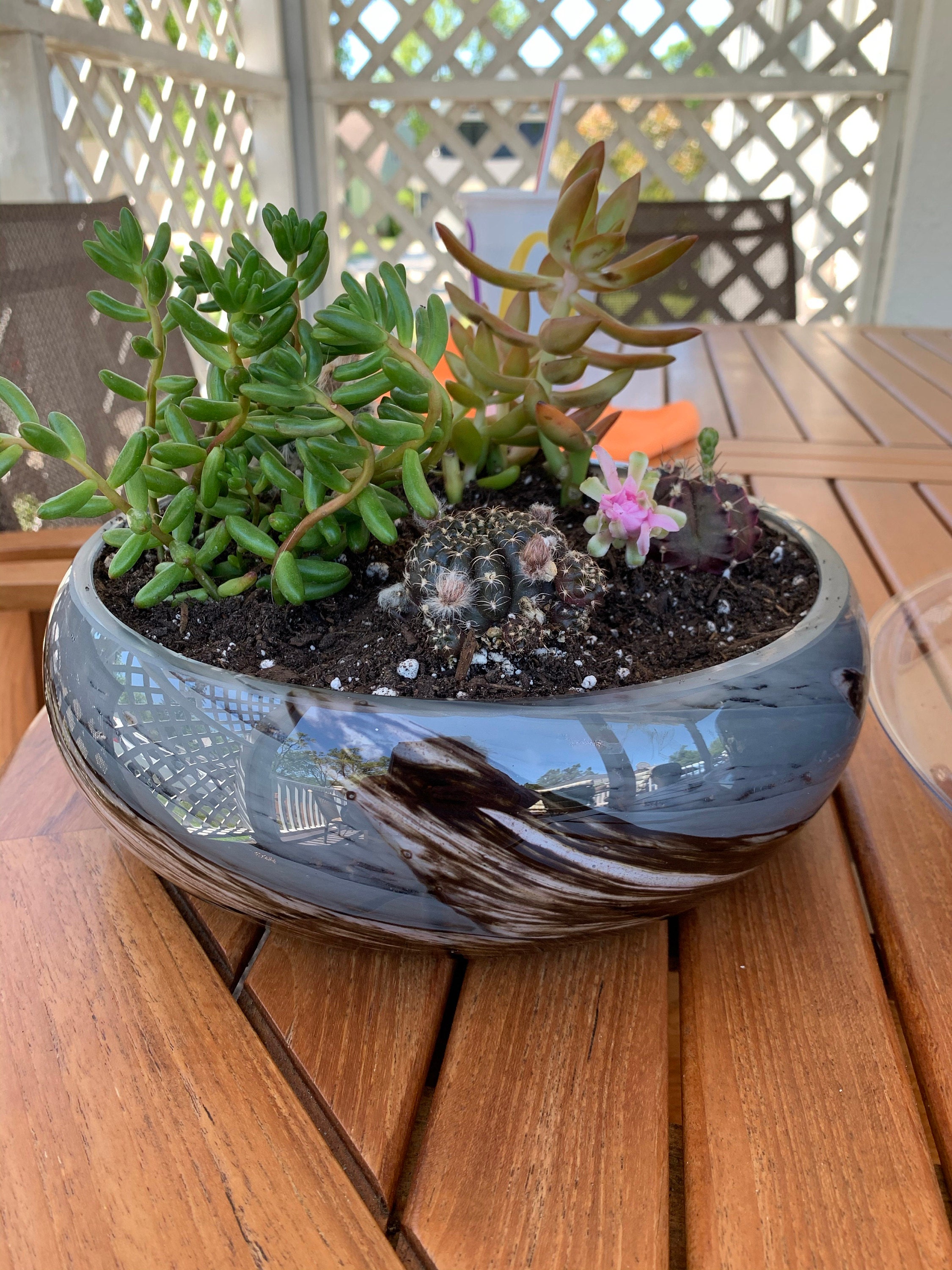 10 Art Glass Low Bowl Planters/Succulent Planters