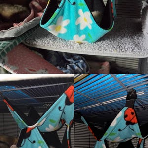 Holli added a photo of their purchase