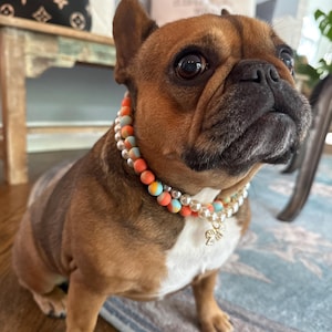 Sara added a photo of their purchase