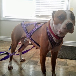 Natasha さんが購入した商品の写真を追加しました