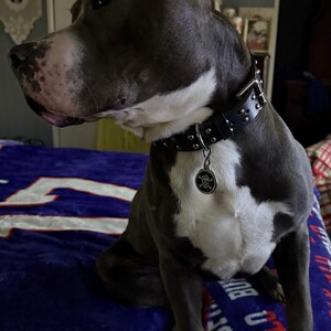 james added a photo of their purchase