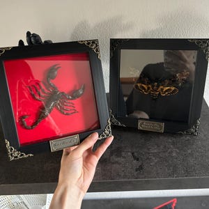 giada added a photo of their purchase