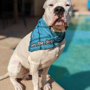 Samantha ha añadido una foto de su compra
