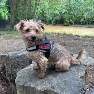 Union Flag ID Tag Patch Personalised Hook Backing 120x35mm - Foto 8