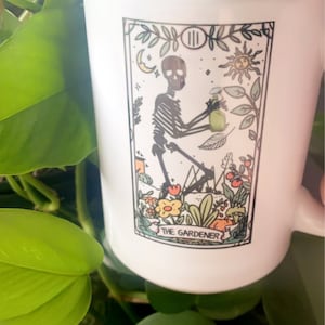 Meg added a photo of their purchase
