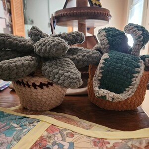 Joy added a photo of their purchase