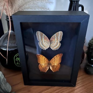 Jillian added a photo of their purchase