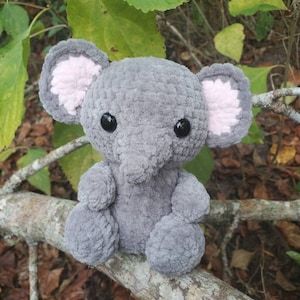 Mary added a photo of their purchase