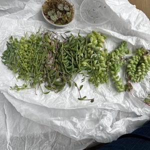 Comprador de Etsy ha añadido una foto de su compra