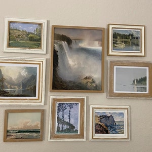 Cat Anderson added a photo of their purchase
