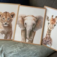 Safari Nursery Decor, Safari Nursery Prints, Nursery Wall Art, Set of 3 ...