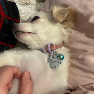 Lucia ha añadido una foto de su compra