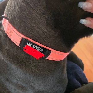 Megan added a photo of their purchase