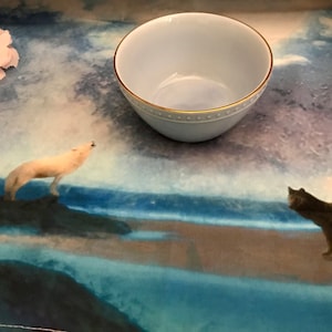 Ali added a photo of their purchase