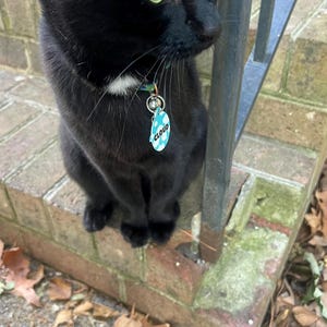 Jyoti ha añadido una foto de su compra