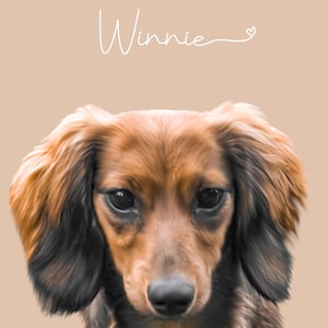 Paige added a photo of their purchase