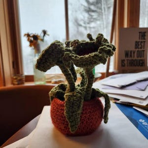 Jenny added a photo of their purchase
