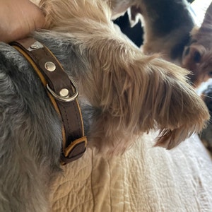 Aileen added a photo of their purchase