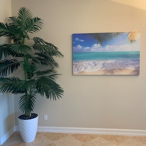 Kim added a photo of their purchase