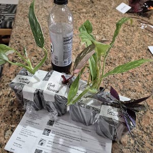 Tonia ha añadido una foto de su compra