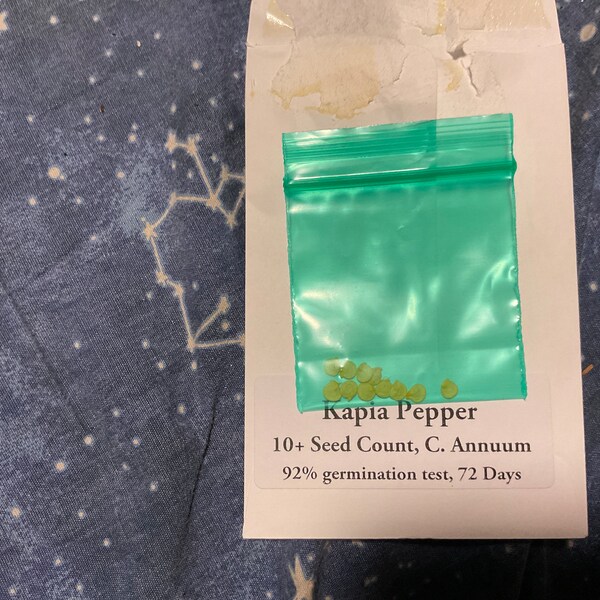 thumbnail image 2 of Organic Kurtovszka Kápia Sweet Pepper 100 Seeds - Non-GMO 2 of 14