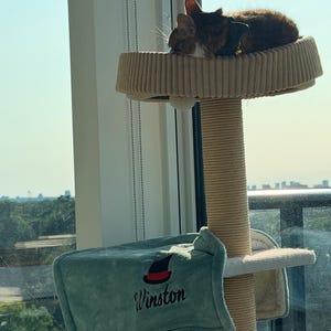 James added a photo of their purchase