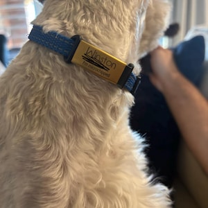 Ginger added a photo of their purchase