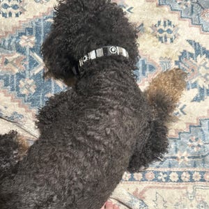 Pamela added a photo of their purchase