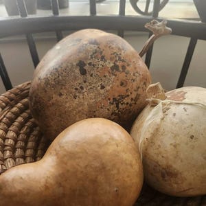 nancy added a photo of their purchase