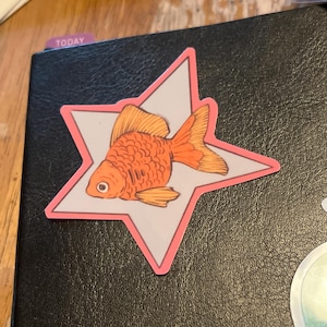 Casey さんが購入した商品の写真を追加しました