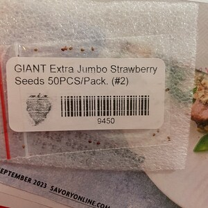 Lithops Semi | Acquisti Online Su - Foto 7