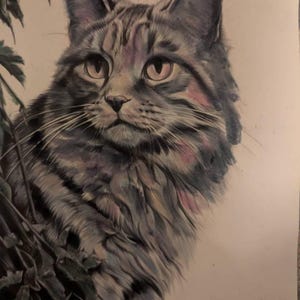 Shery ha aggiunto una foto del proprio acquisto