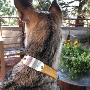 Lisa added a photo of their purchase
