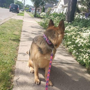 Stephanie added a photo of their purchase