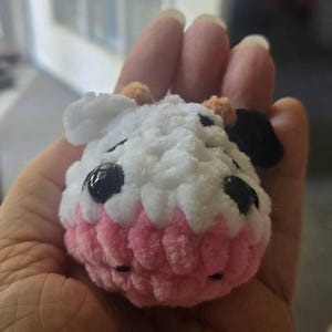 Teri added a photo of their purchase