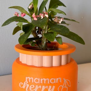 Lilas added a photo of their purchase