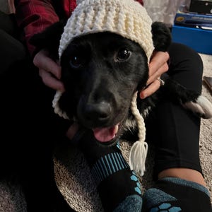 Marilyn ha añadido una foto de su compra