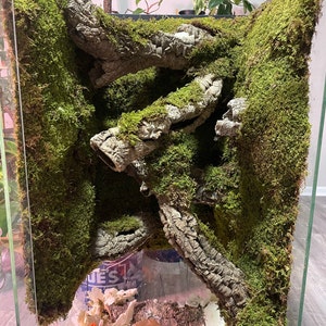 Katie added a photo of their purchase