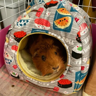 Make Your Own Guinea Pig Hidey Huts: Digital Sewing Pattern - Etsy UK